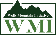 30 Wells Mountain Initiative Scholarships for Students from Developing Countries
