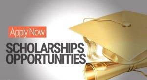 Gani Fawehinmi Scholarship for Nigerian Undergraduates 2021
