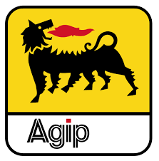 Ongoing AGIP Postgraduate Scholarship In 2021 [SHARE THIS]